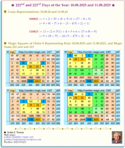 222nd and 223rd Day of the Year – 10.08.2025 and 11.08.2025: Crazy Representations and Magic Squares of Orders 8